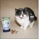 Vegcat PURE BITES