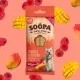 Soopa Dentals MANGO E LAMPONE