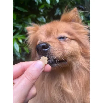Soopa MINI Bites BANANA E CUCCIOLO DI ZUCCA 