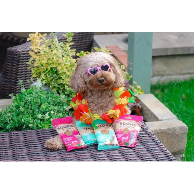 Soopa Dentals Paw-Na Colada