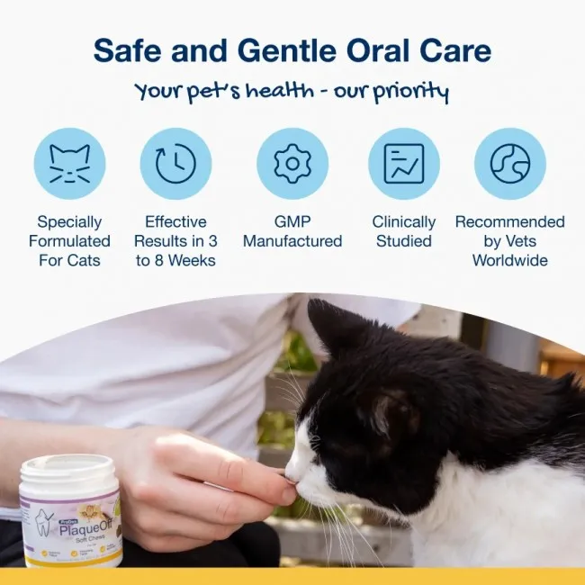 ProDen PlaqueOff SOFT CHEWS per gatti