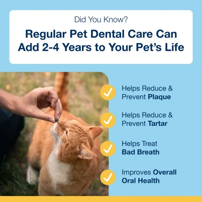 ProDen PlaqueOff DENTAL BITES per gatti