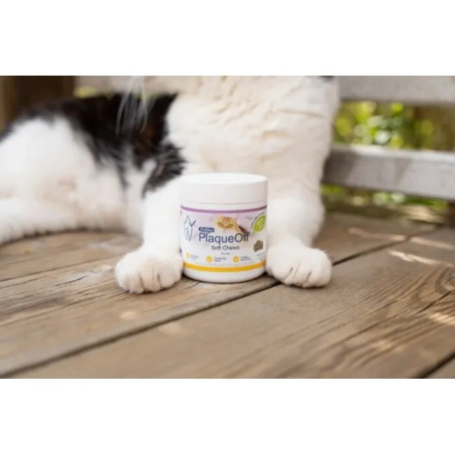 ProDen PlaqueOff SOFT CHEWS per gatti