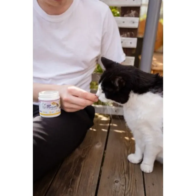 ProDen PlaqueOff SOFT CHEWS per gatti