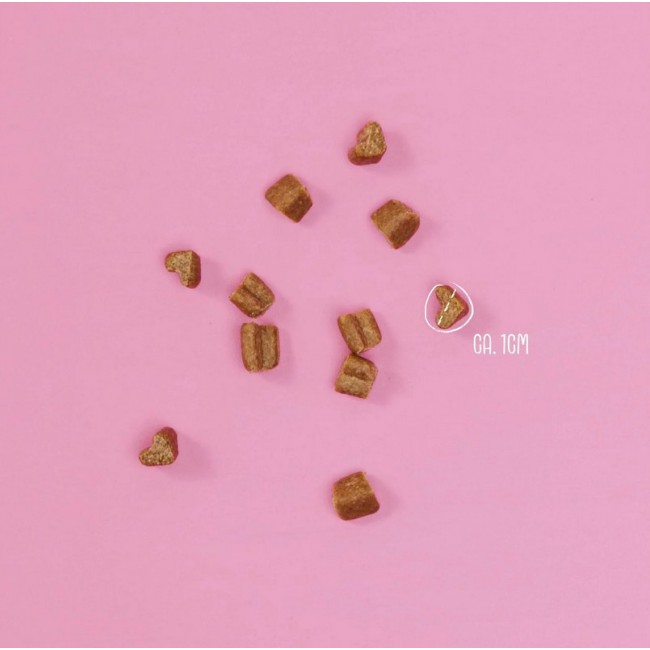 Vegdog MOBILITIES MINIS